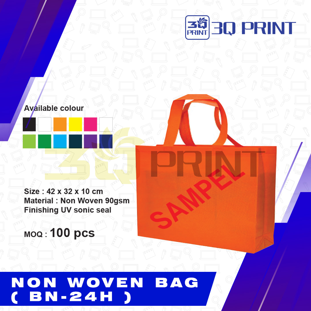 Non Woven Bag (BN-24H)